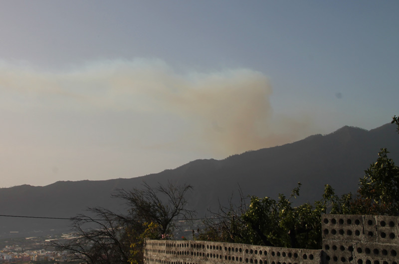 Feuer gegen Nachmittag ausgebrochen bei El Jesus oberhalb Tijarafes