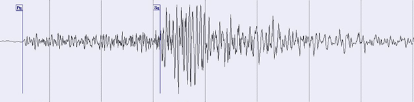 In einem Seismogramm werden Erdbebenwellen grafisch aufgezeichnet